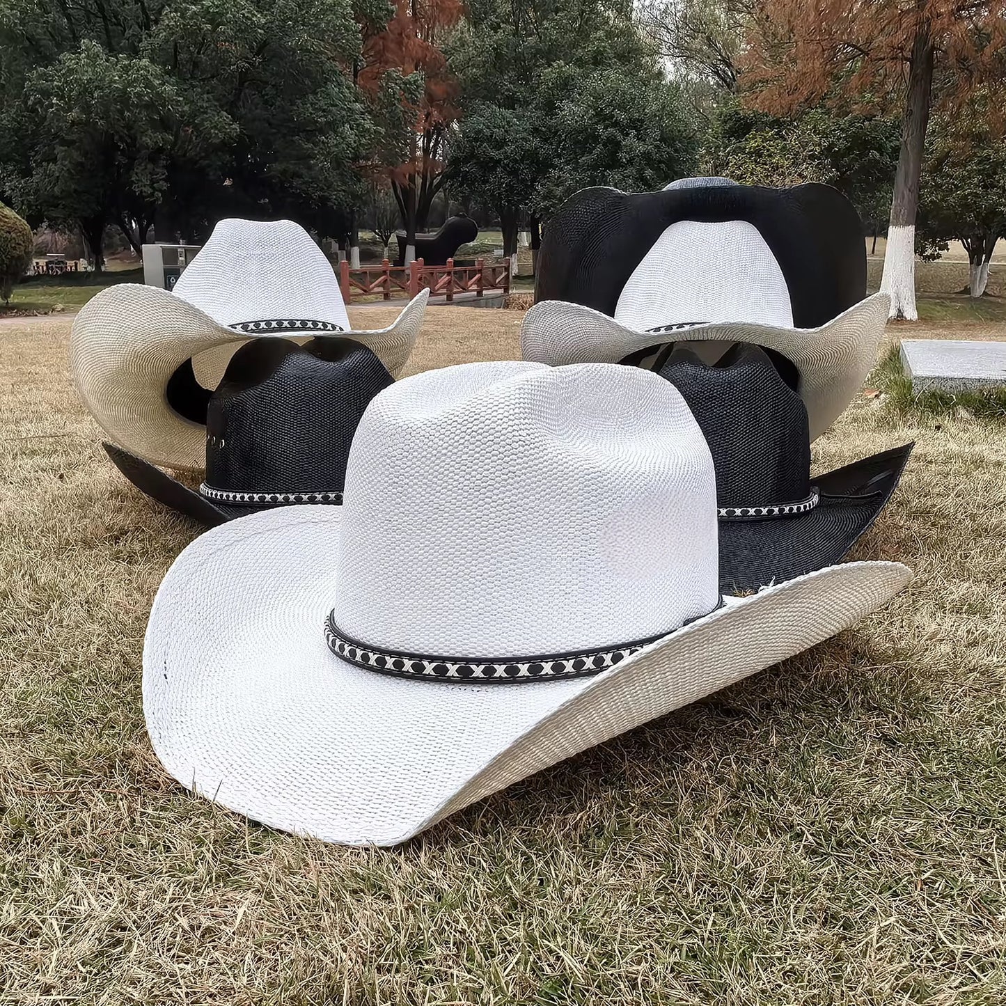 Beyond Ruff Cowboy Hat