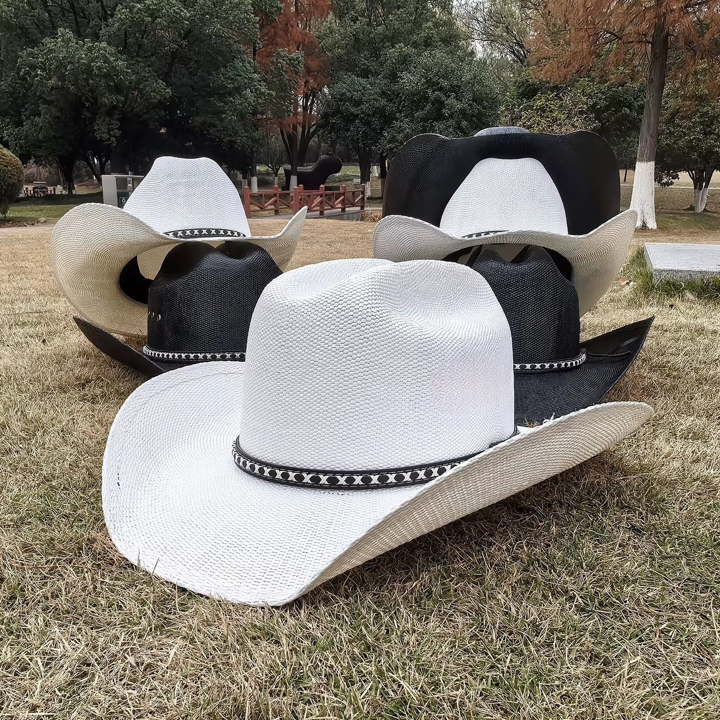 Beyond Ruff Cowboy Hat - AccessorizmeeWholesale